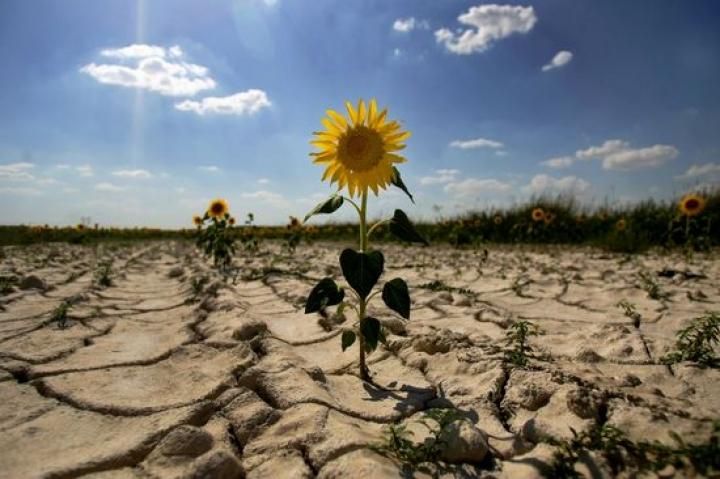 Україні загрожують наслідки глобального потепління