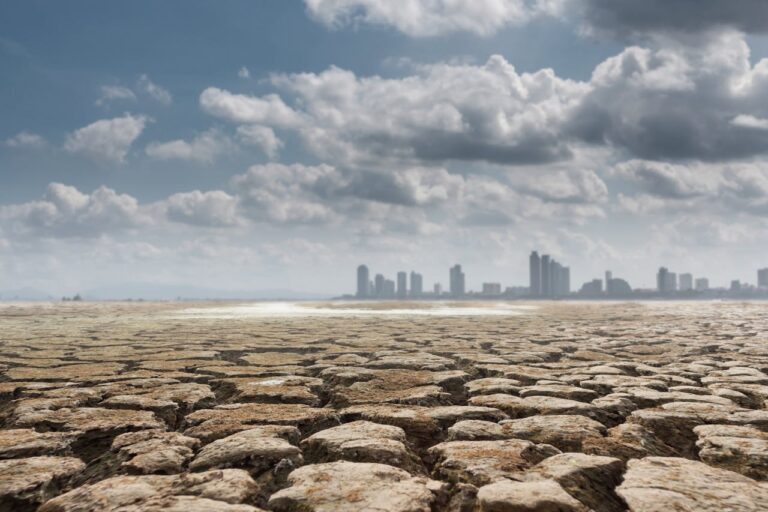 Зміна клімату загрожує всьому людству — що чекає нас до 2029 року